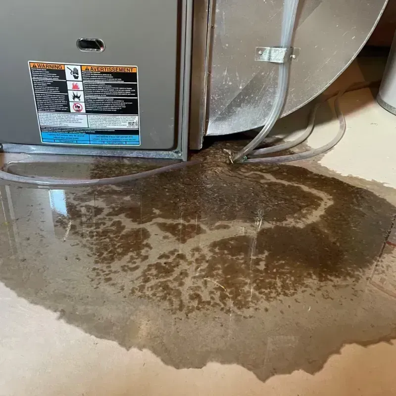 Appliance Leak Cleanup in Bel-Ridge, MO